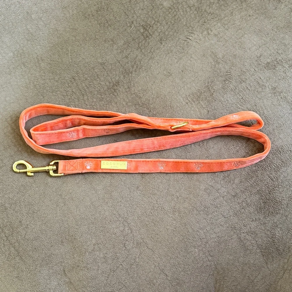Coral Embroidered Dog Harness Leash Collar Set Gold Orange pink surfer beach fun